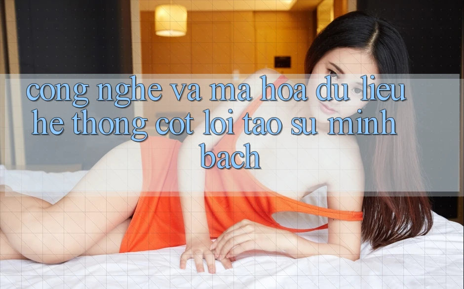 Công Nghệ Và Mã hóa dữ liệu – Hệ thống Cốt Lõi Tạo Sự Minh bạch