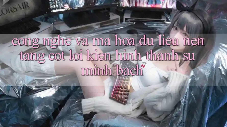 Công Nghệ Và Mã hóa dữ liệu – Nền Tảng Cốt Lõi Kiến hình thành Sự Minh bạch