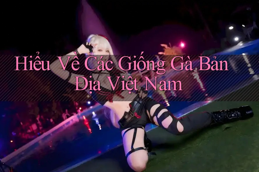 Hiểu Về Các Giống Gà Bản Địa Việt Nam