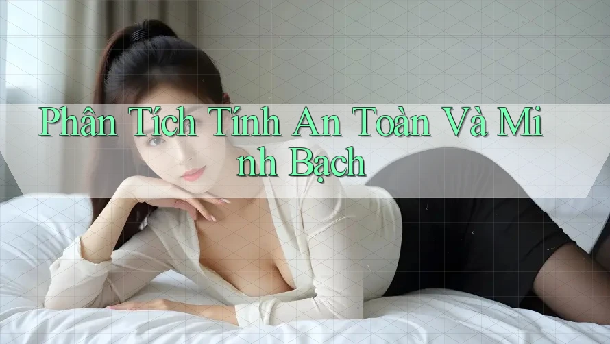 Phân Tích Tính An Toàn Và Minh Bạch Phân Tích Tính An Toàn Và Minh Bạch